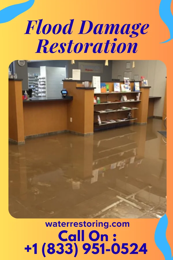 Flood Damage Restoration in Washington Park, NC