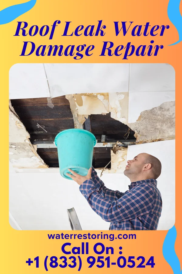 Roof Leak Water Damage Repair in Washington Park, NC
